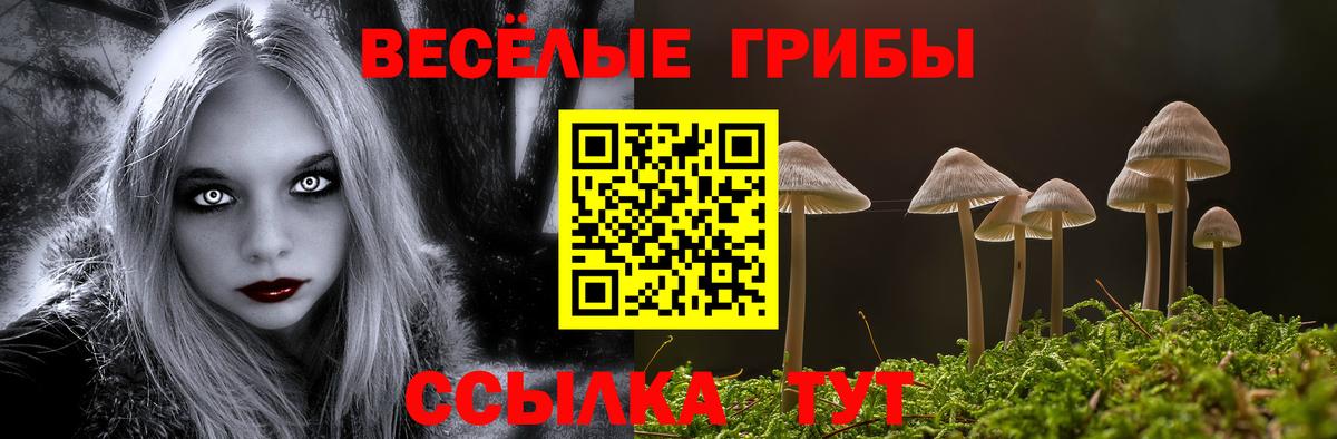 Псилоцибиновые грибы мухоморы  Вход с VPN  Псилоцибиновые грибы мицелий  Донской 