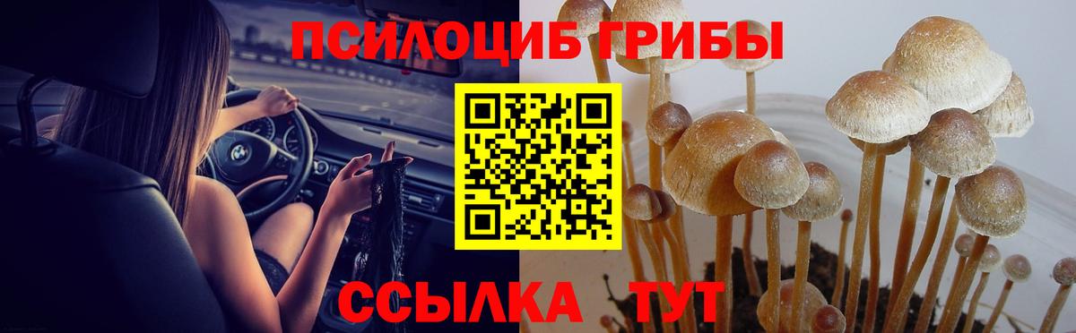 Галлюциногенные грибы прущие грибы Донской